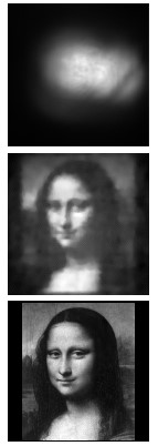rambus-mona