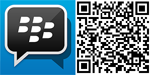 bbm-wp-qr