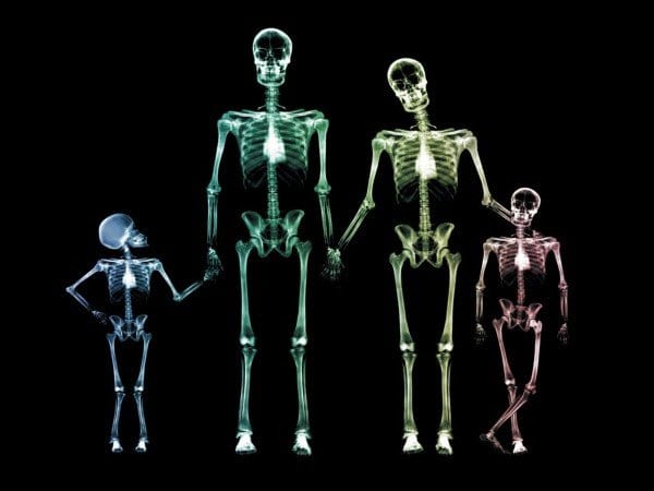 x_ray_family_wallpaper_x_ray_3d_wallpaper_1280_960_241
