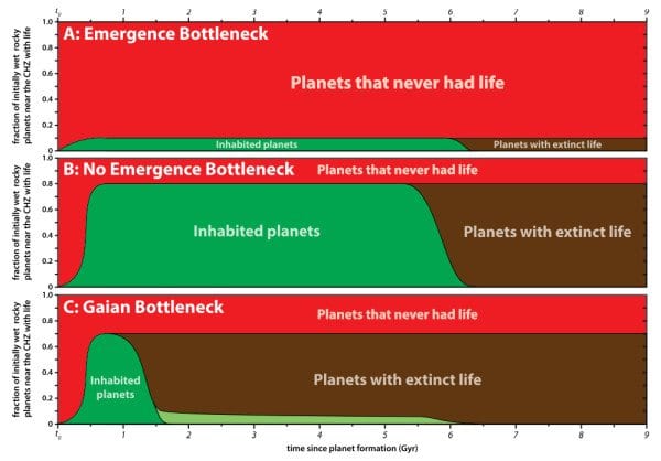 bottleneck