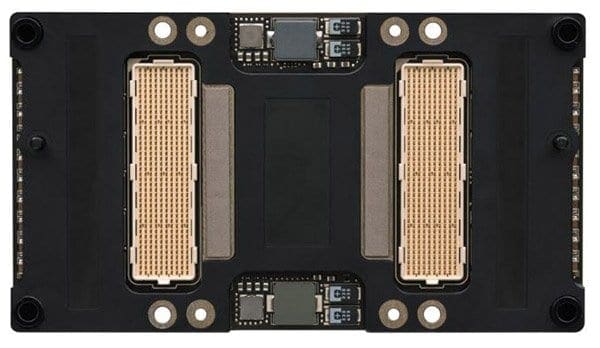 P100Back_575px