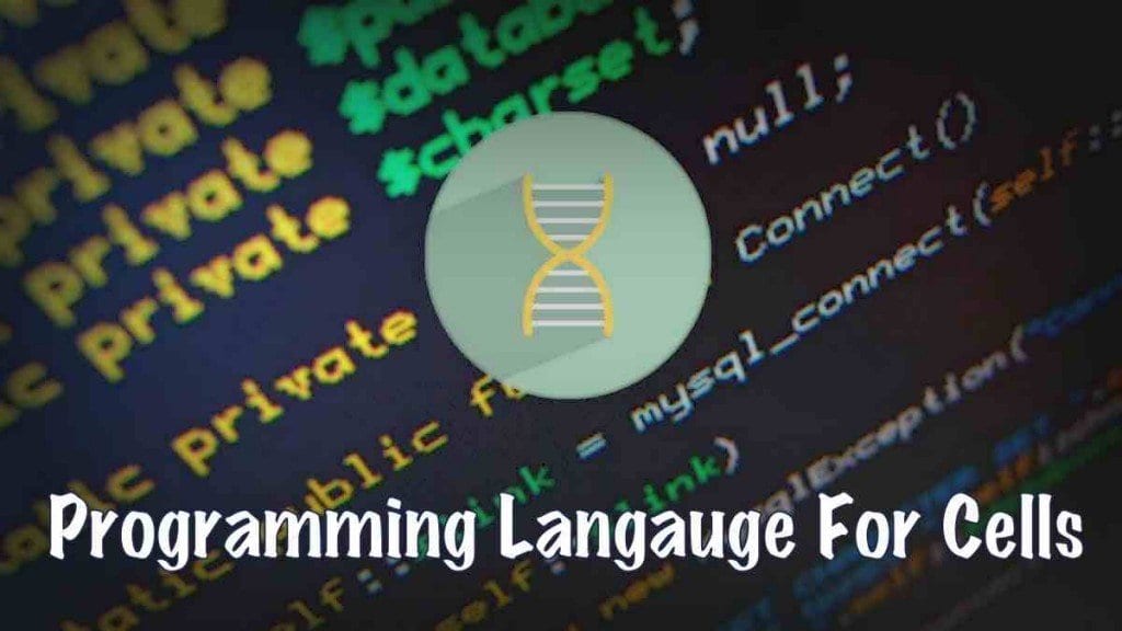 programming-langauge-for-cells-and-dna