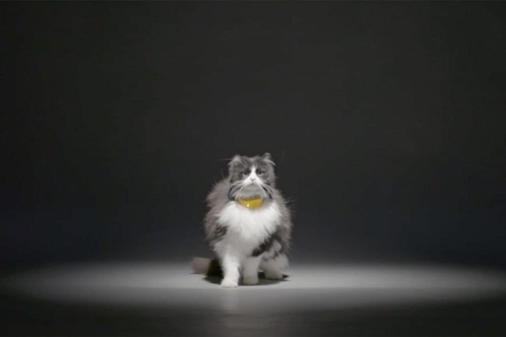MarsTemptations_Catterbox16