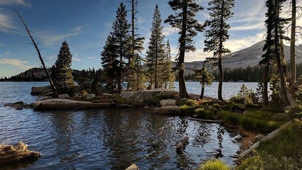 google-pixel-camera-example-2